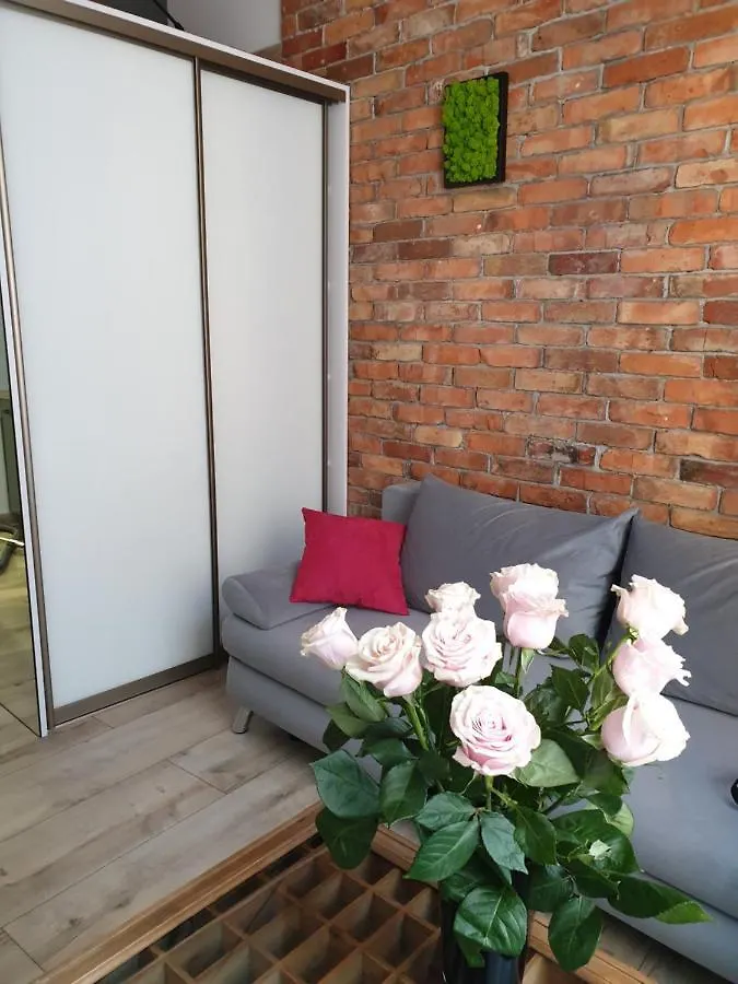 Loft-To-Be Apartment Krakow